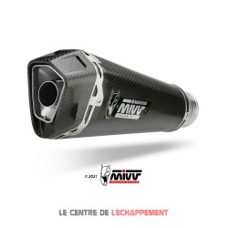 Silencieux MIVV DELTA RACE BMW S 1000 R 2017-2020